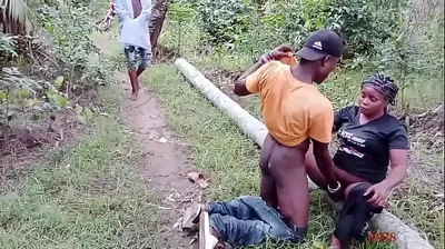 XNXX