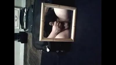XNXX