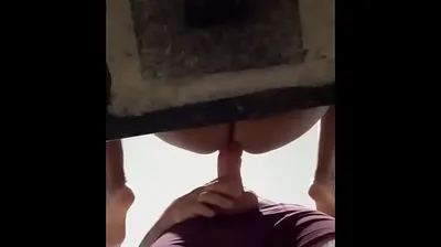 XNXX