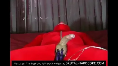 XNXX