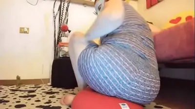 XNXX