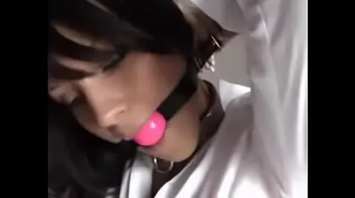 XNXX