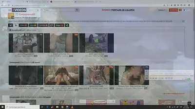 XNXX