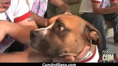 XNXX