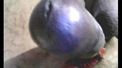 XNXX