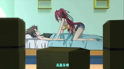 XNXX