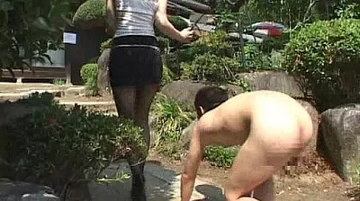 XNXX
