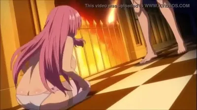 XNXX