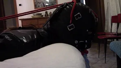 XNXX
