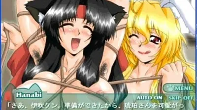 XNXX