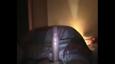XNXX