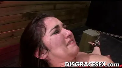 XNXX