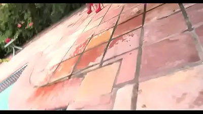 XNXX