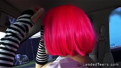 XNXX