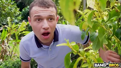 XNXX