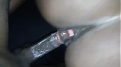 XNXX