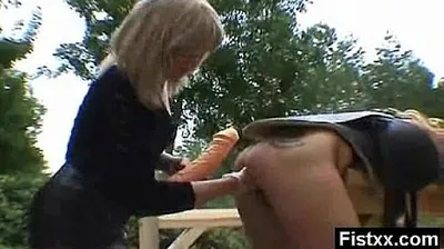 XNXX
