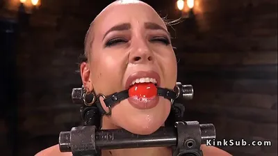 XNXX