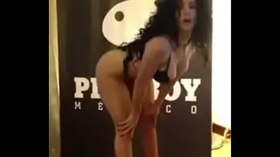 XNXX