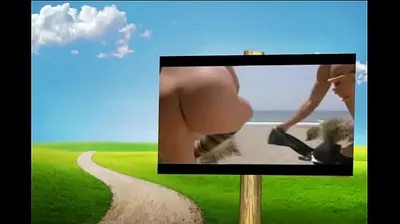 XNXX