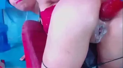 XNXX