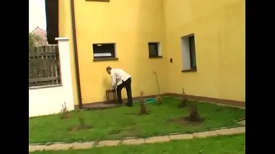 XNXX