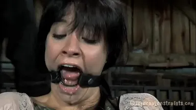 XNXX