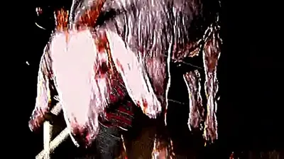 XNXX