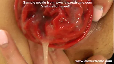 XNXX