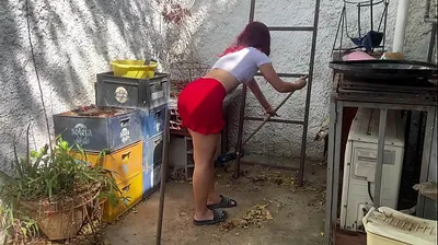 XNXX