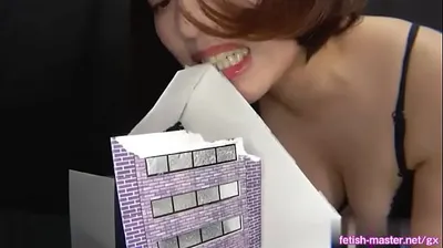XNXX