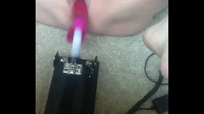 XNXX