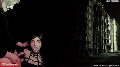 XNXX