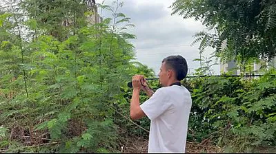 XNXX