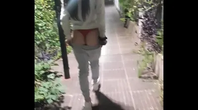 XNXX
