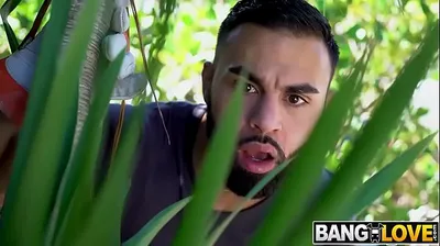 XNXX