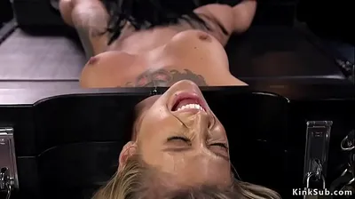 XNXX