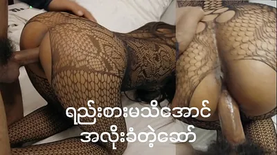 XNXX