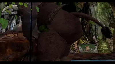 XNXX