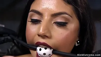 XNXX