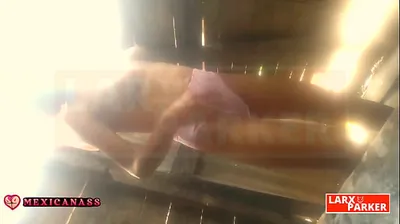 XNXX