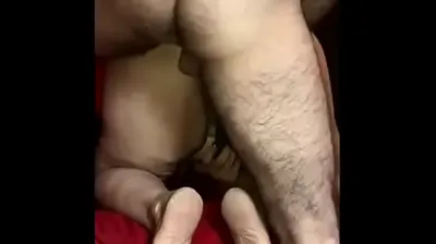 XNXX