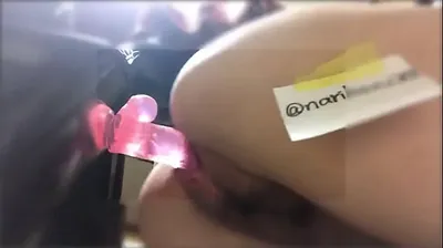 XNXX