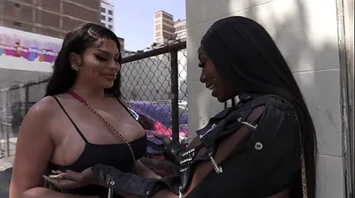 XNXX