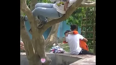XNXX