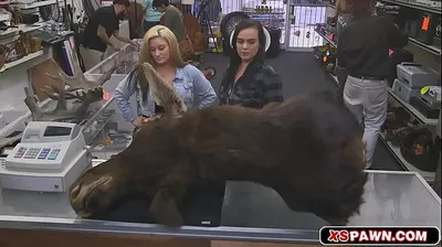 XNXX