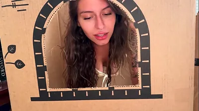 XNXX