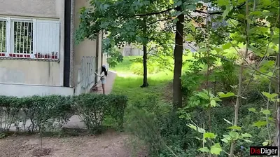 XNXX