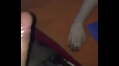 XNXX